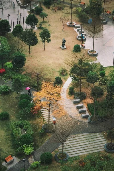 雨の日には公園の空中撮影 ピンクの傘を持って歩く女性 — ストック写真