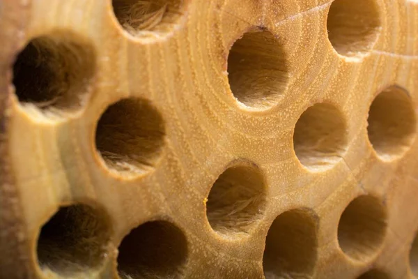 Primer Plano Los Agujeros Una Superficie Madera — Foto de Stock