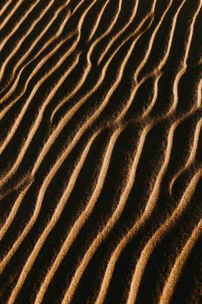 Вертикальный Снимок Песчаных Дюн Пляже — стоковое фото