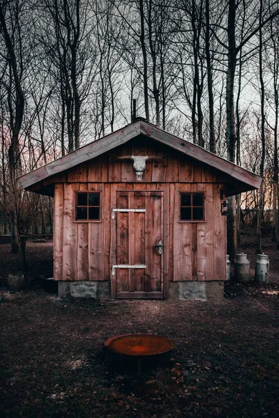 Plan Vertical Crâne Buffle Entrée Une Grange Bois Avec Les — Photo