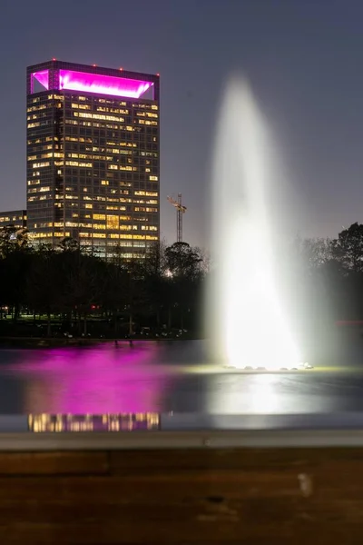 Colpo Verticale Houston Hermann Parco Conservazione Mcgovern Lago Notte Texas — Foto Stock