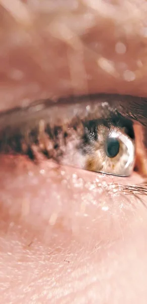 Bir Insanın Kahverengi Gözünün Dikey Yakın Çekimi — Stok fotoğraf