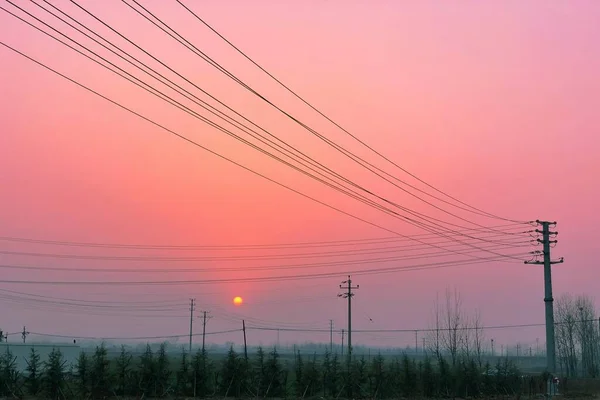 在美丽的粉色紫色夕阳的天空中 电线杆和电缆线 — 图库照片