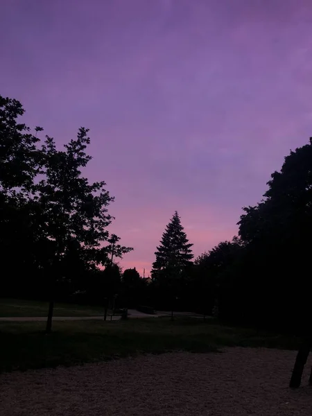 日没時に空の下の木々の垂直ショット — ストック写真