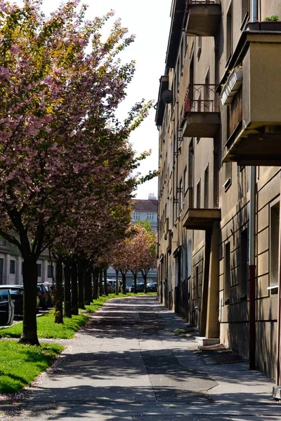 Praag Tsjechië Apr 2016 Prachtig Praag Een Uitstekende Toeristische Bestemming — Stockfoto