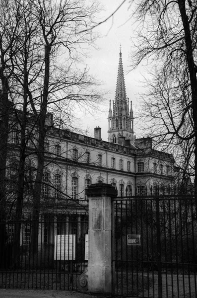 Eine Vertikale Graustufenaufnahme Von Kirche Und Bäumen Frankreich — Stockfoto