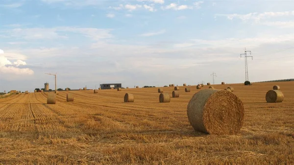 Blick Auf Ein Feld Mit Runden Heuballen Und Strommasten — Stockfoto