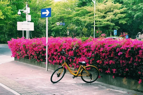 Yellow Bike Parked Pink Flowers Street Road Sign Pointing Right — Stock Photo, Image