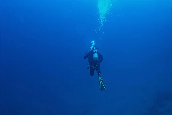 Ein Taucher Mit Taucherausrüstung Schwimmt Reinblauen Wasser — Stockfoto