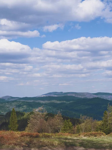 Bela Vista Das Montanhas Árvores Sob Céu Nublado — Fotografia de Stock