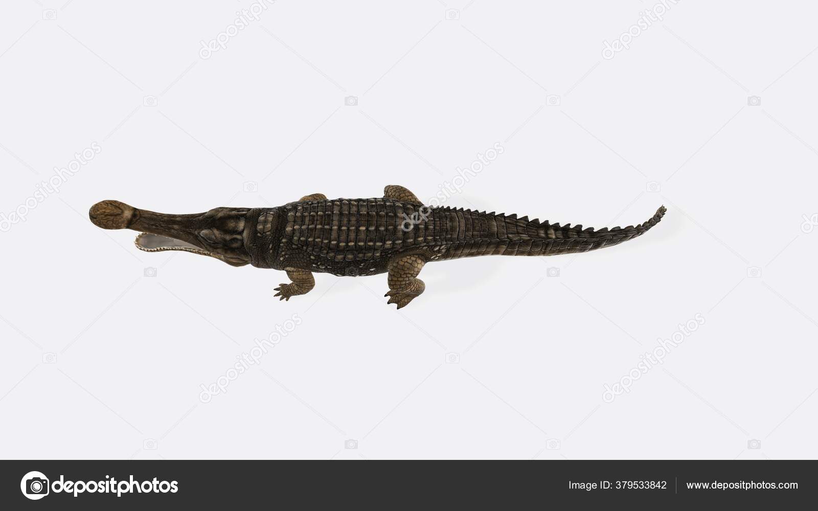 Rendering Rettile Sarcosuco Isolato Fondo Bianco Genere Estinto