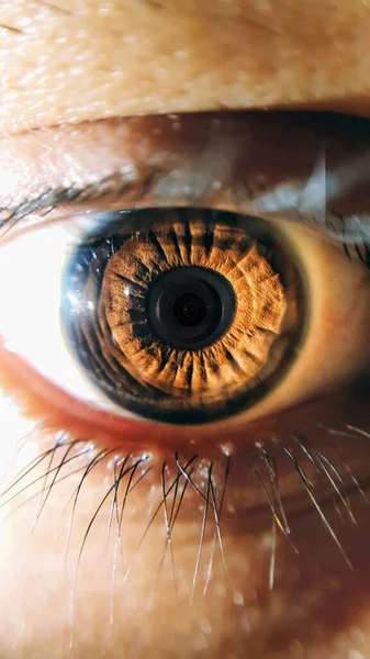 Beautiful Macro Closeup Shot Human Deep Brown Eyes — Stock Photo, Image