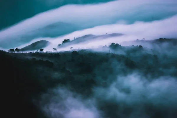 Denso Nevoeiro Que Cobre Floresta Escura Nas Montanhas — Fotografia de Stock