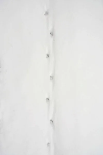 Uma Imagem Vertical Pistas Raposa Neve — Fotografia de Stock