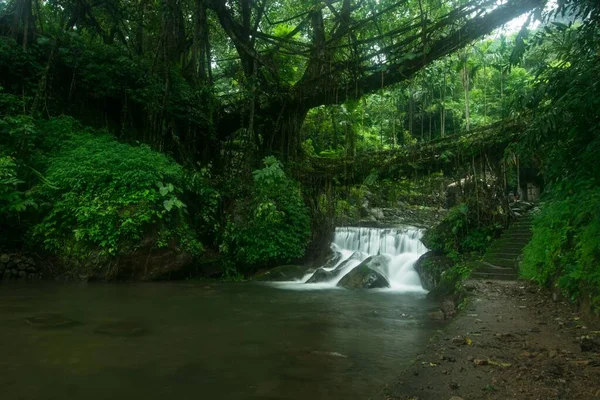 Eine Erstaunliche Aufnahme Eines Kleinen Wasserfalls Umgeben Von Wunderschöner Natur — Stockfoto