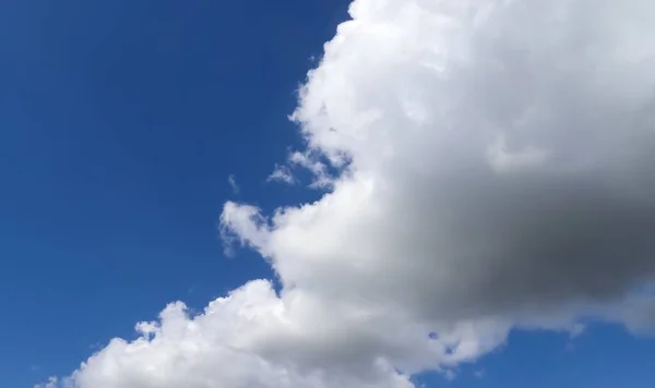 Disparo Ángulo Bajo Cielo Azul Nublado Día Verano Perfecto Para — Foto de Stock
