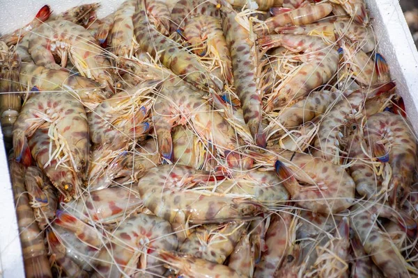 Plusieurs Crevettes Les Unes Sur Les Autres Dans Boîte — Photo