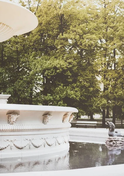 Breathtaking Shot Green Trees Antique Historic Fountain Foreground — Stock Photo, Image