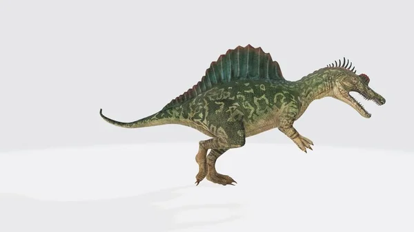 スピノサウルスの3Dイラスト 白い背景にスピノサウルス スピノサウルスは白亜紀の半水棲恐竜である — ストック写真