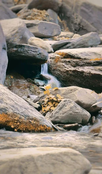 川の岩の形成の多くの垂直ショット — ストック写真
