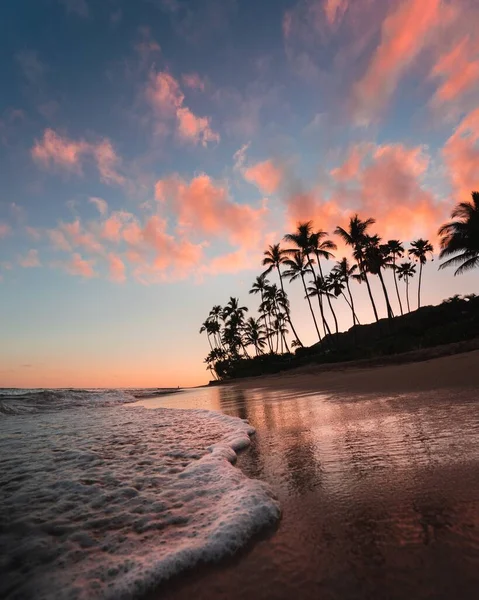 在平静的海滩上 粉色的云朵映衬着高大棕榈树的轮廓 这是一张垂直的照片 — 图库照片