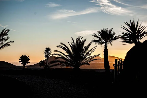 Eine Silhouettenaufnahme Der Wunderschönen Natur Auf Lanzarote Spanien Bei Heißem — Stockfoto