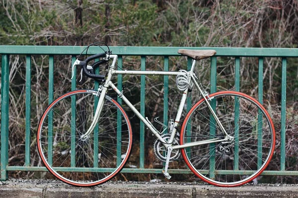 Uma Bicicleta Velha Estacionada Perto Cerca Metal Verde Parque — Fotografia de Stock