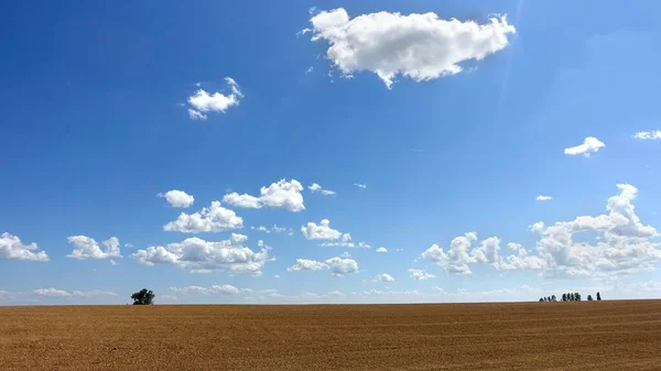 Прекрасне Блакитне Небо Над Полем — стокове фото