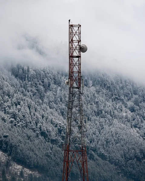 Een Prachtig Shot Van Een Radio Toren Een Besneeuwde Woud — Stockfoto