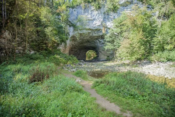 Vista Túnel Através Uma Rocha Rakov Skocjan Eslovénia Rodeada Árvores — Fotografia de Stock