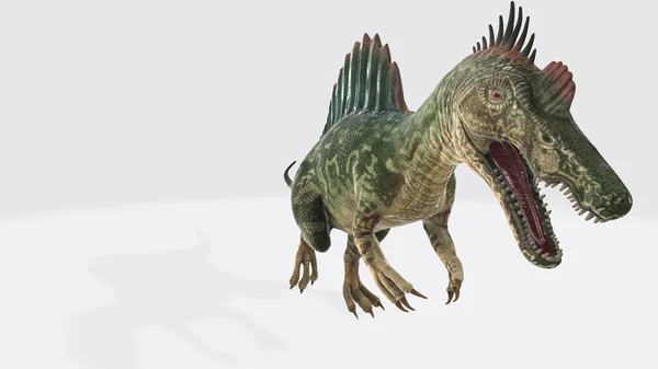 Ilustracja Spinozaura Spinozaur Białym Tle Spinozaur Był Półwodnym Dinozaurem Okresu — Zdjęcie stockowe