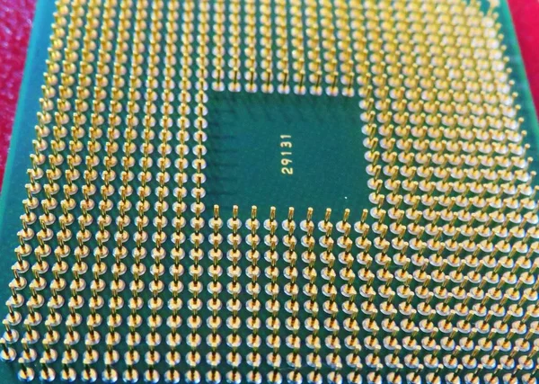 Primo Piano Dei Pin Microprocessore — Foto Stock
