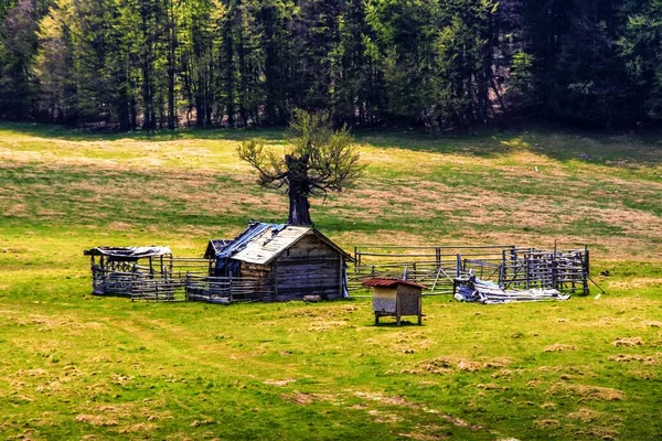 Ein Holzhaus Einem Geschützten Bereich Inmitten Eines Grasbedeckten Feldes Umgeben — Stockfoto