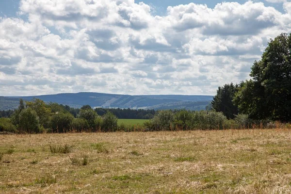 Letní Krajina Valonsku Belgie — Stock fotografie