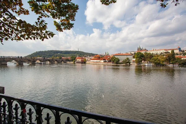 Río Vitava Praga Rodeado Árboles —  Fotos de Stock