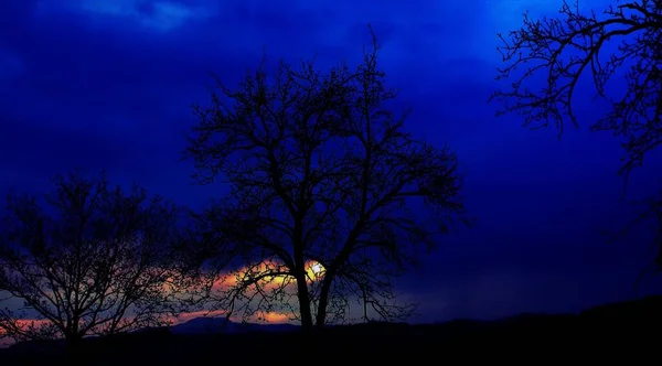 木の枝を通して夕日の美しい景色 — ストック写真