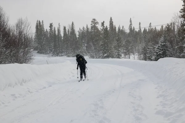 Фотография Лыжника Снежной Горе Лесу — стоковое фото