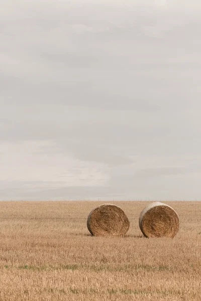 Disparo Vertical Rollos Heno Valle Una Zona Rural — Foto de Stock