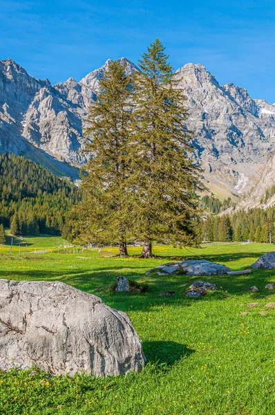 Швейцарських Альпах Мальовничий Гірський Краєвид Зеленню Горами — стокове фото