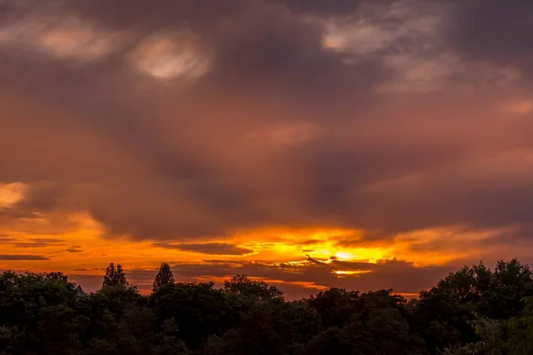 Tiro Aéreo Bonito Uma Floresta Abaixo Céu Laranja Pôr Sol — Fotografia de Stock