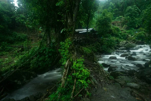 Güzel Doğayla Çevrili Bir Nehrin Inanılmaz Bir Görüntüsü — Stok fotoğraf