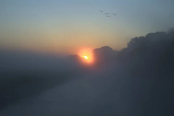 Silhouette Birds Flying River Golden Sunset Sky — Stock Photo, Image