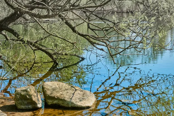 Małe Jezioro Otoczone Skałami Drzewami Gałęziami Odbijającymi Się Wodzie Pod — Zdjęcie stockowe