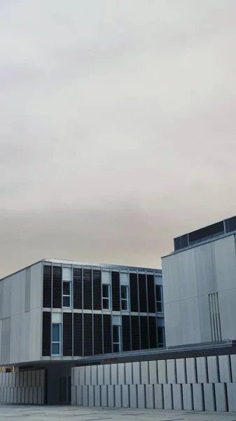 Bulutlu Gökyüzünün Altındaki Modern Bir Ticari Binanın Dikey Görüntüsü — Stok fotoğraf