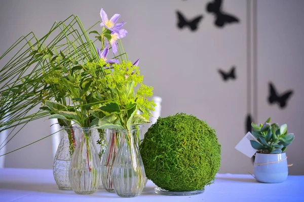 Närbild Bild Gröna Växter Och Lila Blommor Små Glasvaser — Stockfoto