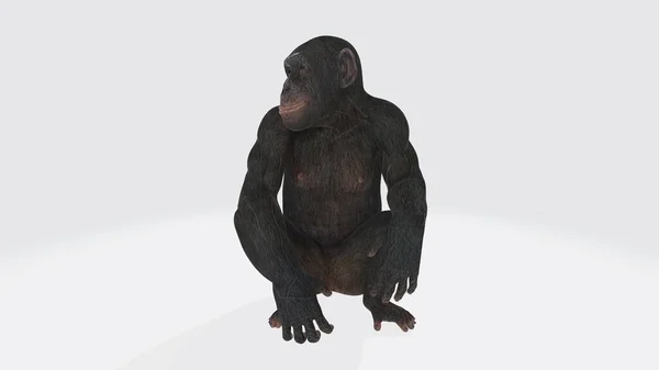 Ilustração Macaco Sentado Macaco Com Postura Sentada Renderização Gorilla Uma — Fotografia de Stock