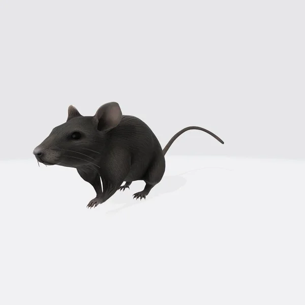 3d illustraion of hungry mouse. Curious Wood mouse (Apodemus sylvaticus) with cute black eyes looking in the camera on white background.