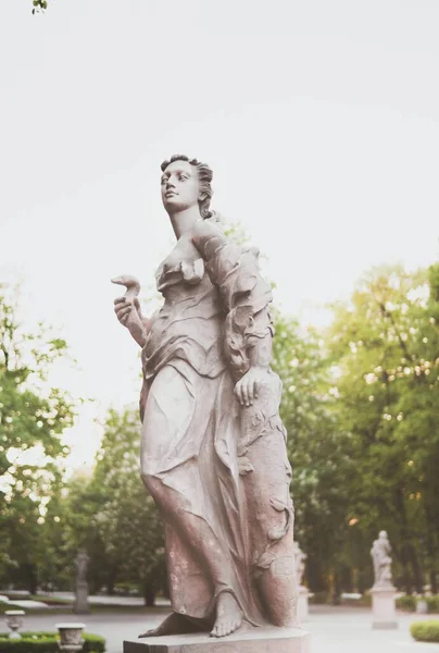 Disparo Vertical Una Estatua Warszawa Polonia — Foto de Stock