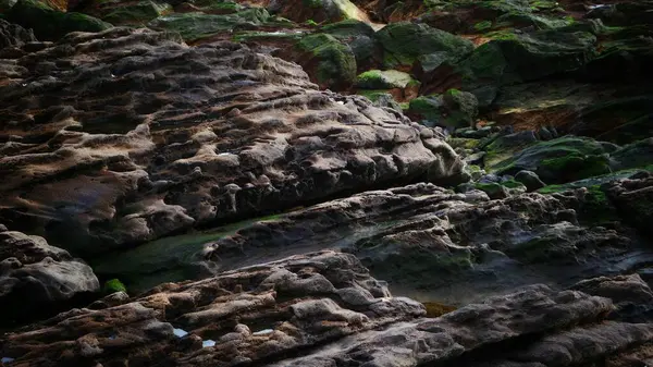 Textura Musgo Sobre Una Roca Filtrada Playa — Foto de Stock