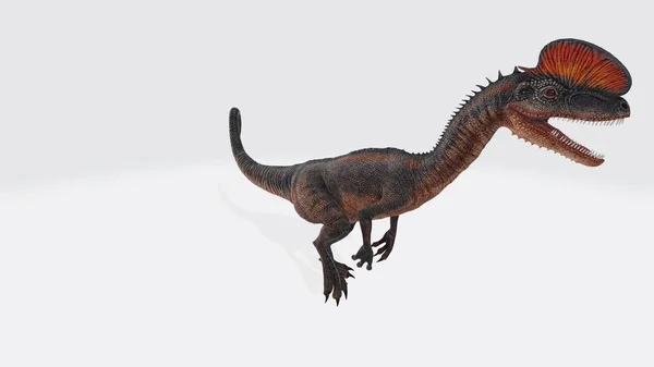 Ilustracja Dilophosaurus Dilofosaurus Wyizolowany Ilustracja Izolowanego Dinozaura — Zdjęcie stockowe